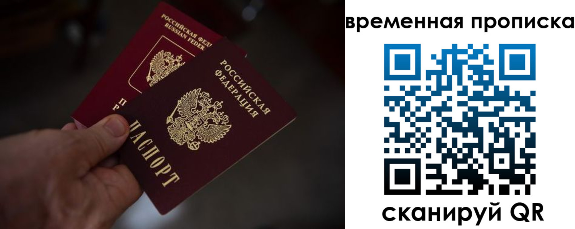 прописка в Болотном